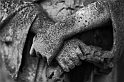22_ Cimiteri Londinesi